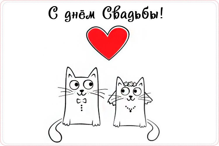 Свадебные котики